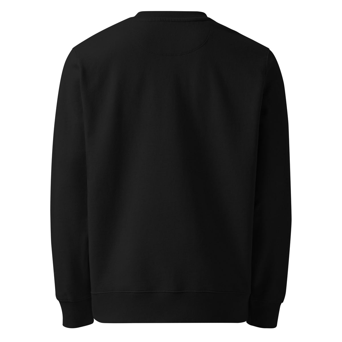 Women's Eco Sweatshirt | Star Of Earth